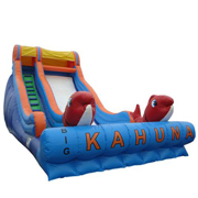 inflatable water slide rentals